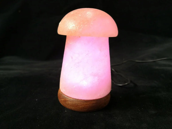 Himalayan Salt Lamp – LED RGB USB Nightlight