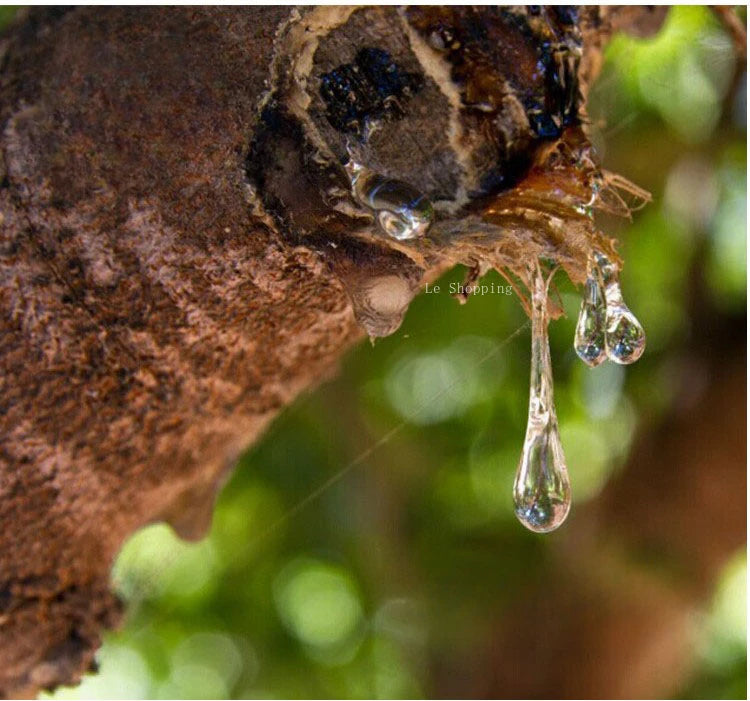Somali Frankincense Incense Powder – Natural Aromatherapy & Air Purifier