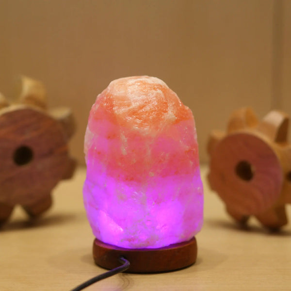 Himalayan Salt Lamp – LED RGB USB Nightlight